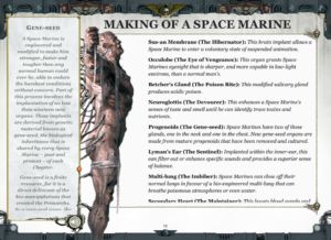Space Marines - No Wing Wang