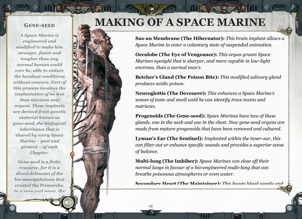 Space Marine Height Chart