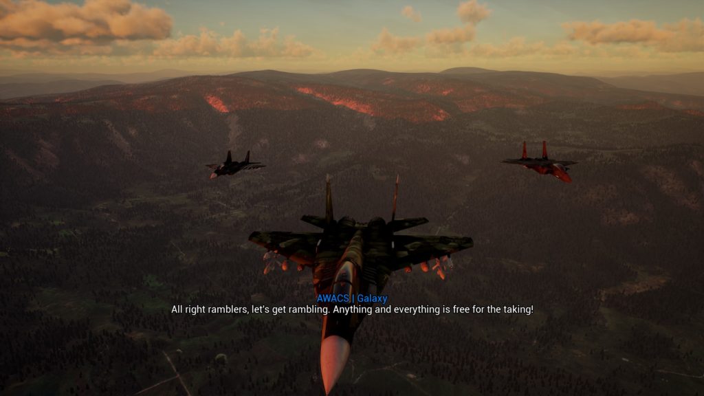 Project Wingman review